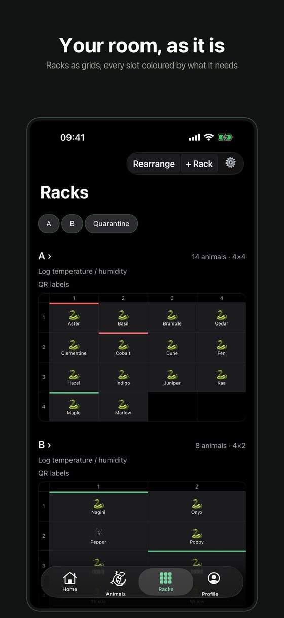 Racks drawn as grids